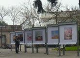 Muestra