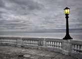 Colonia