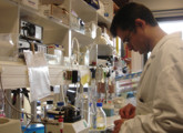 laboratorio