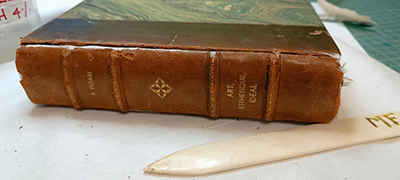 D&iacute;a Internacional del Conservador-Restaurador