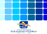 Logo SNEP con cuadros