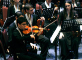 violines