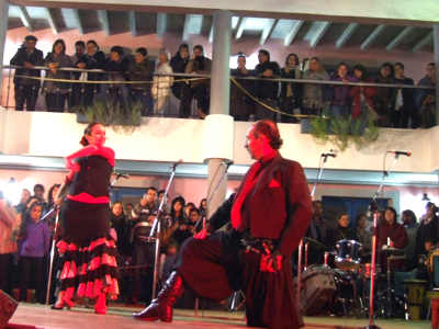 Bienal