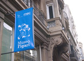 Museo Figari. Banner