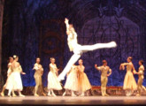 cuerpo de baile