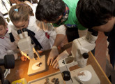 Ciencia y Tecnología