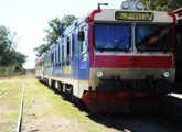 En tren de cultura