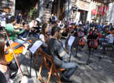 Desarrollo cultural