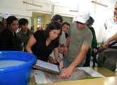 Alumnos de Cecap trabajando