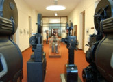 imagen de la muestra