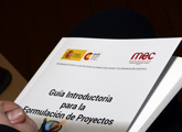 Icono