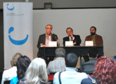 Cultura 2011