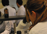Ciencia