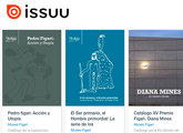 toma de pantalla de la web de Issuu