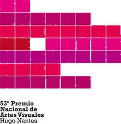 53° Premio Nacional de Artes Visuales (2008)