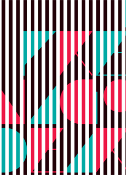 54° Premio Nacional de Artes Visuales (2010)