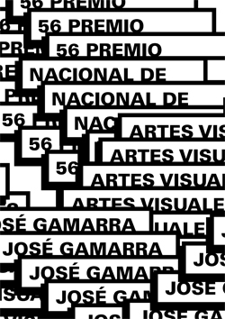 56° Premio Nacional de Artes Visuales (2014)