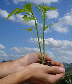 Dia mundial del medio ambiente