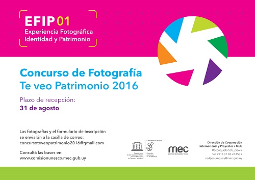 imagen colores concurso fotografía