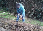 Mujer trabajando la huerta