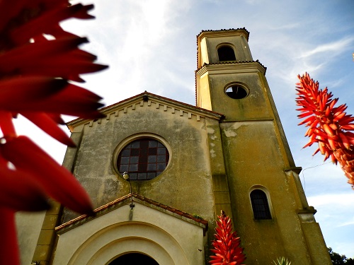 Iglesia y vegetacion 
